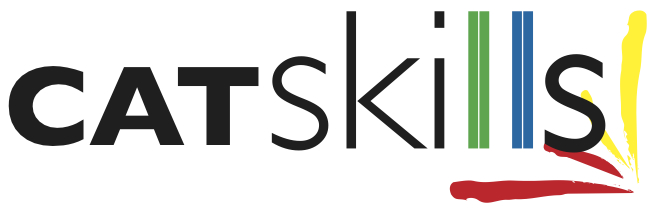 Participació a la CatSkills 2020 | Imagen